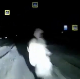 Russia: Fatal hit to grandma 