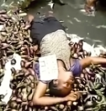 Power Cable Collapse Kills at Least 26 in Kinshasa