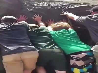 DANG: When an Elephant Almost Crushes your Head 