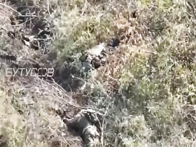 Multiple Wagner bodies