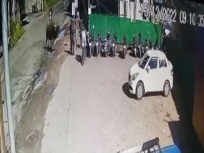 LoL: The bull finally got her revenge