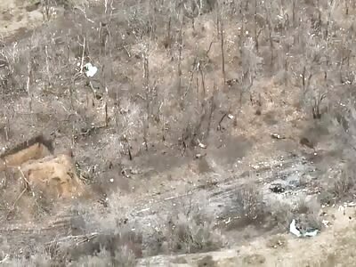 Come home Ivan, because...