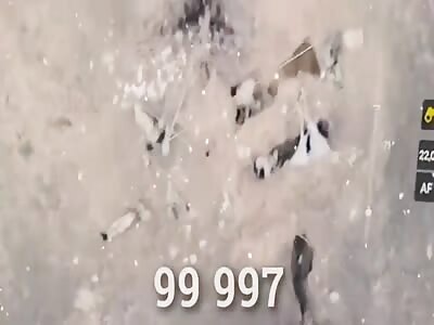 You are our one hundred thousand client, you deserve a prize