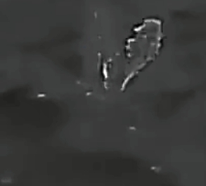 Last day for Russian war ants