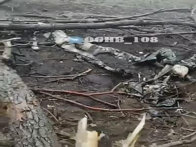 When I start the morning with pieces of roast meat