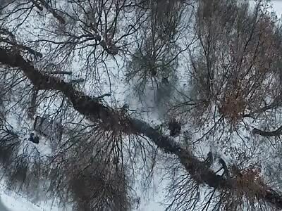 Bad day for the Russian Rat