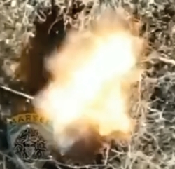 Russian rats need to be warmed up in the harsh winter