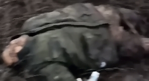 Control of deratization of Russian rats