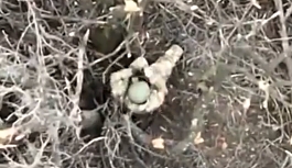 Drone Drop on Praying Russian Soldier