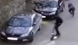 LoL: In Yalta, the scooter sent the dog into free flight