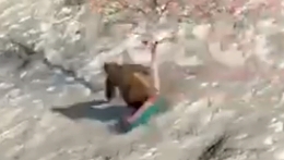 Russia: Broken spine and ribs