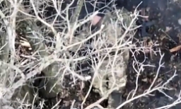 Hits a Russian soldier with 2 grenades by Bakhmut