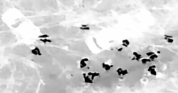 Drone dropping grenade on RU soldiers