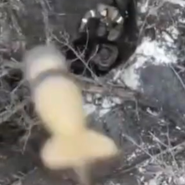 A Ukrainian Game for the Russian Soldiers.