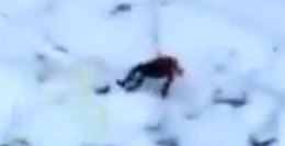 Failed Bungee Jump From A Block Of Flats