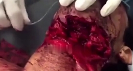 WTF: Son did this to him over buying robux