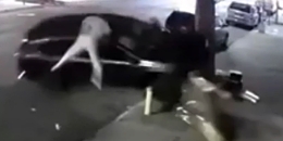 Video Captures Critically Injured Man Thrown From SUV by 15-Year-Old Carjackers