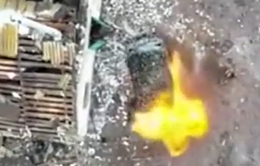 Russian troops is destroyed by a Ukrainian drone