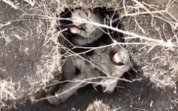 Target hit multiple RU soldiers with drone drop grenades