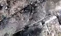 Grenade dropped on group of Orcs in urban area