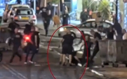 When the Palestinians notice a Jew with a dog