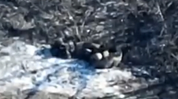 RU soldiers come under fire from the UA 3rd Separate Assault Brigade