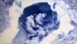 A trench with multiple dead RU bodies shown from Bakhmut