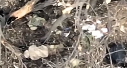 Ukrainian UAV observes a Russian position in Bakhmut