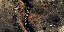 A Russian trench full of corpses