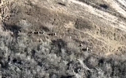 Azov group spots 3 groups of Wagner troops