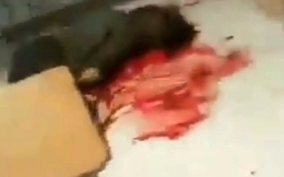 Parkland classroom shooting aftermath (leaked)