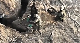 The Battle for the T-Shape, Part 2