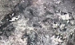 UA 67 OMBR drone targets russian troops in contact