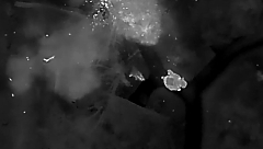 Prizrak brigade drones attacking Ukrainian infantry