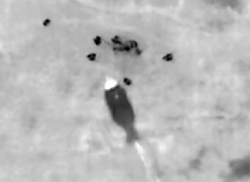 A UA Drone drops a Munition directly onto a wounded RU soldier