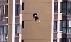 'Great China' Compilation