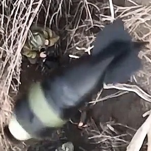 Drone Ruined His Life Forever..