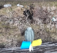 Grenade dropped on ORC in his grave