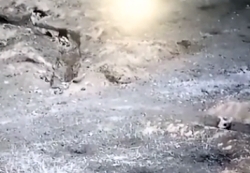 The art of throwing a grenade