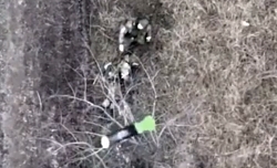 Novobakhmutivka: The 36th brigade strikes RUAF