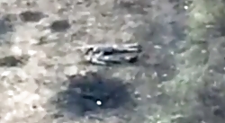 Footage of multiple Wagner KIA near Bakhmut