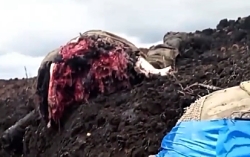 RU KIA filmed by Azov fighter