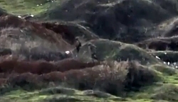 Russian soldier gets hit in the head with a sniper round