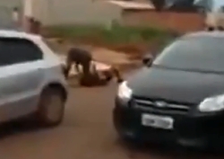 Man stabs his own brother to death