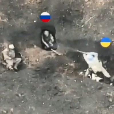 Many Invading Russian Cockroaches Got Exterminated