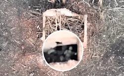 UA kamikaze drone hits basement where group of RU