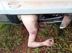 A man died in a serious accident in Pará