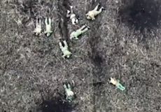 A group of 9 Russian soldiers is targeted by Ukrainian mortars 