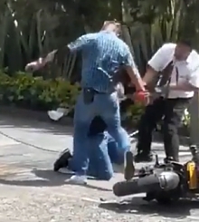 Another 'paloterapia' in Bogotá