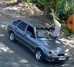 Fatal hit to a woman near Tver